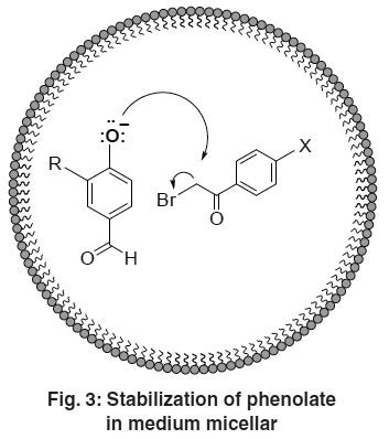 Synthesis And Characterization Of Phenacyloxy Benzaldehyde