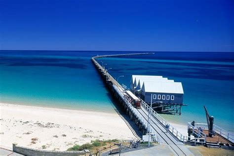 2023 Full Day Busselton Jetty Train Ride Dophin Discovery