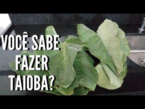 Como Fazer Taioba E Não Pinicar - Como fazer TAIOBA refogada do jeito certo - MACIA e não pinica | La ...