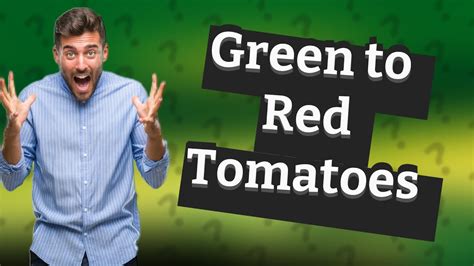 How Do You Ripen Green Tomatoes To Red YouTube