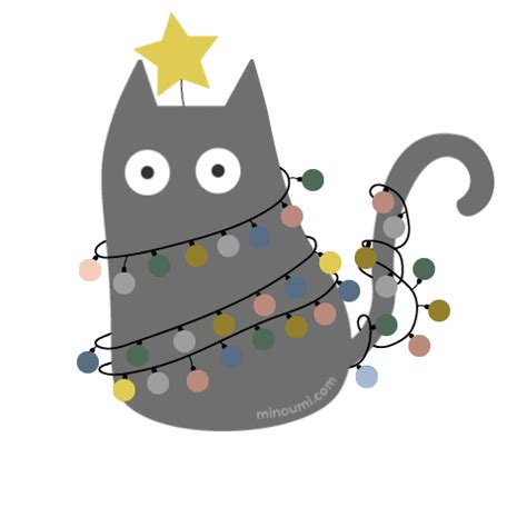 Christmas Cat GIFs - Find & Share on GIPHY