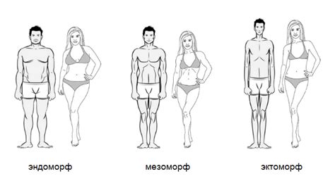 Чудо-юдо эктоморф | Блог Дмитрия Александрова