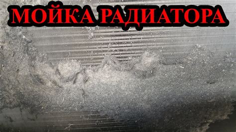 Мойка радиатора кондиционера и охлаждения двигателя на ладе иксрей ...