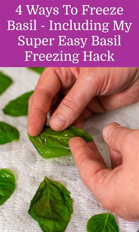 4 Ways To Freeze Basil Including My Easy Basil Freezing Hack