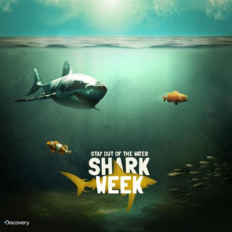 Shark Week Wallpapers - Wallpaper Cave