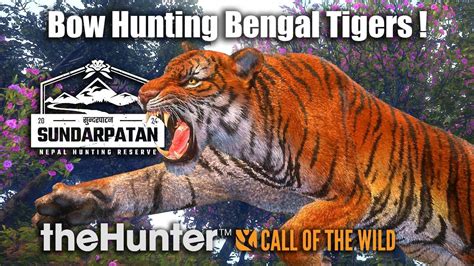 Bow Hunting Bengal Tigers At Sundarpatan Nepal TheHunter Call Of The