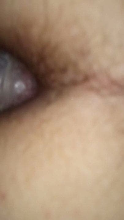 Anal Novi Sad 4 Free Anal HD Porn Video 12 XHamster
