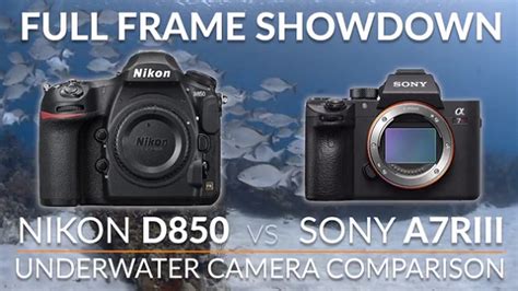 Nikon D Vs Sony A R Iii Underwater Comparison Full Frame Showdown