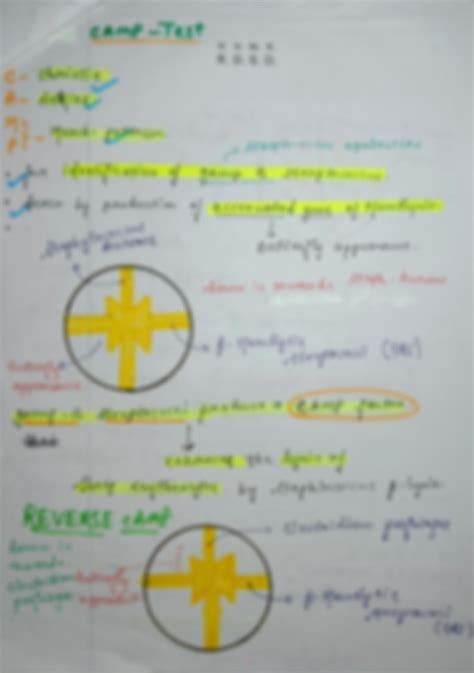 SOLUTION Clostridium Microbiology Studypool