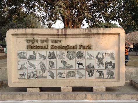 How the National Zoo in Delhi Makes Winter Comfortable for Animals