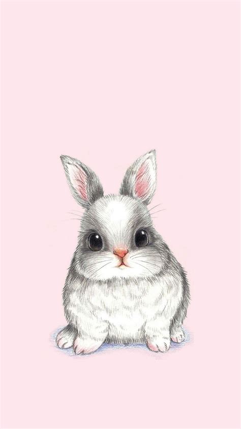 Cute Bunny Wallpapers (68+ images)