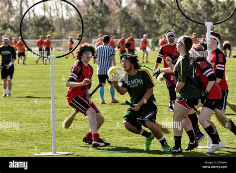 Harry Potter Quidditch Teams