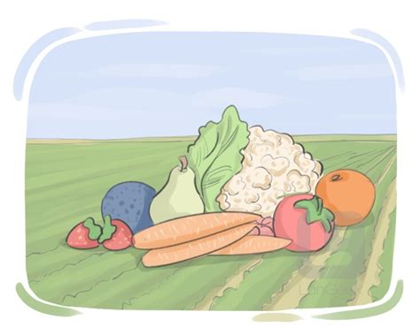 definition meaning  produce langeek