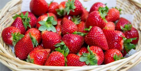 El mejor método para almacenar las frutillas y que se mantengan frescas