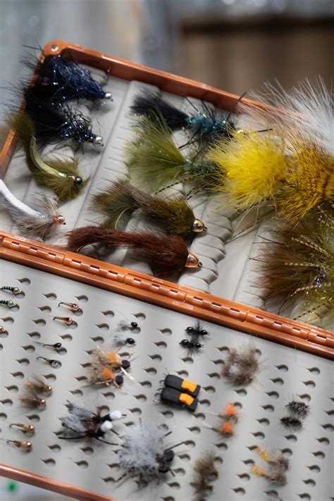 fall fly patterns  trout tco fly shop
