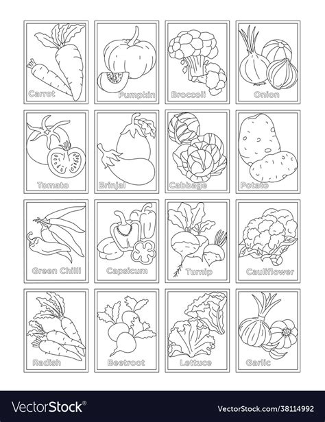 Pack vegetables coloring pages Royalty Free Vector Image