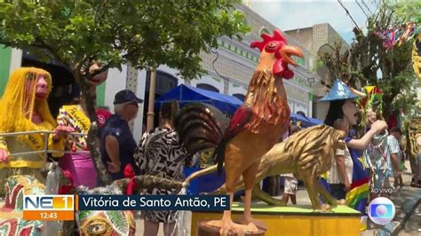 V Deo Carnaval Dos Bichos Anima Vit Ria De Santo Ant O Ne G