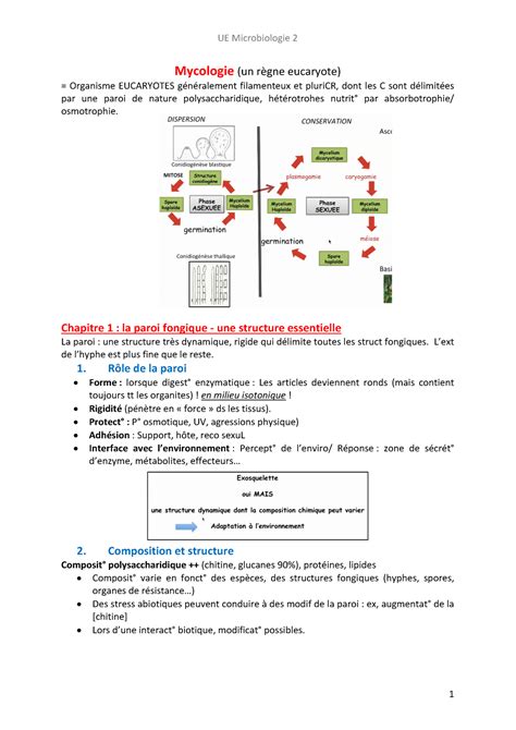 Mycologie Microbiologie Mycologie Un R Gne Eucaryote Organisme