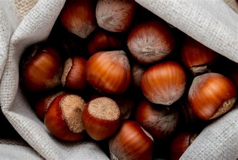 Ti Piacciono Le Castagne Chef Bruno Barbieri Ti Svela Il Suo Segreto