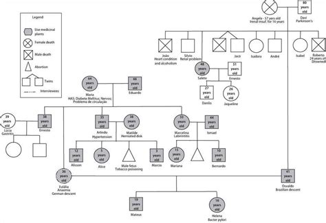 genogram social work symbols - Hiroko Cabral