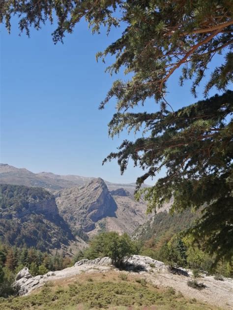 Hadath El Jebbeh To Hardine Hiking Trail Lebanon Tourism Guide