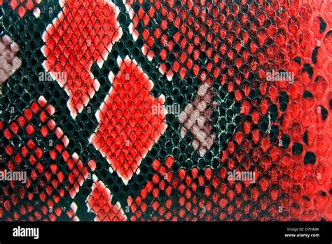 Snake Skin Background Stock Photo Alamy