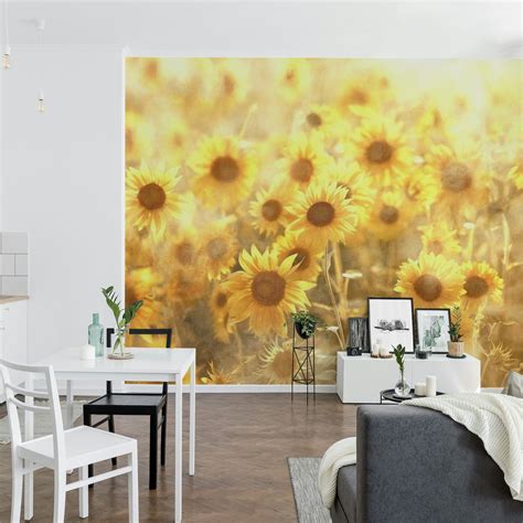 Sunflower Field Photography wallpaper | Happywall