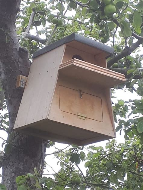 Deluxe Barn Owl Nestbox Apple Grove Engineered Timber Products