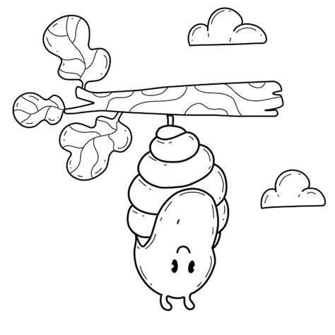 Cocoon Coloring Page At Free Printable Colorings Images And Photos Finder