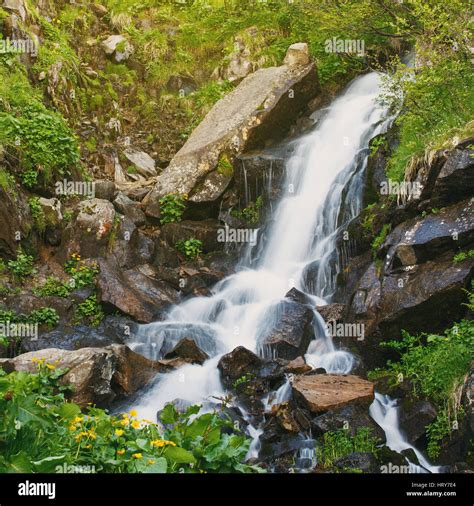 Waterfall in spring forest. Beautiful nature background Stock Photo - Alamy