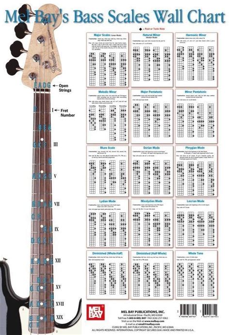 Les Tabs Tab Ou Tablatures à La Guitare Pour Jouer Avec Des Accords Et