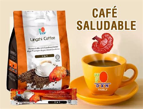 La Verdad Del Caf Lingzhi Ganoderma Dxn Afiliacion Gratuita Dxn