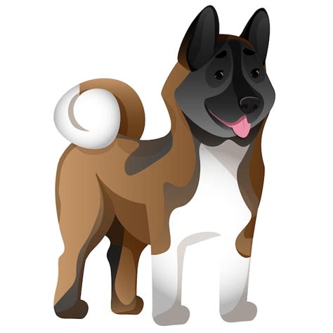 Perro Akita Americano Vector Premium