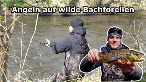 Forellenangeln Am Bach Angeln Auf Bachforellen Youtube