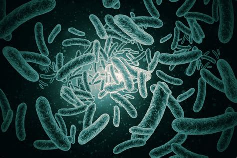 Legionella Prevenci N Y Control Para Evitar Infecciones Traza