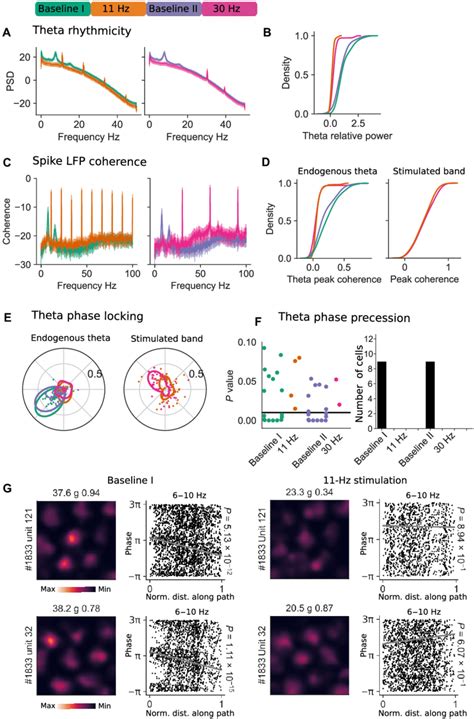 Grid Cells Stop Phase Precessing During Msa Stimulation A Theta