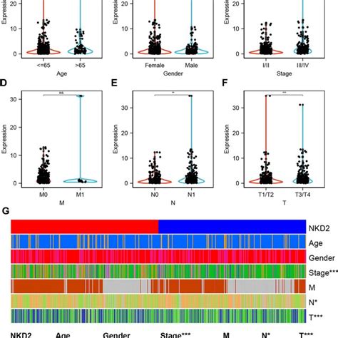 Highly Expressed NKD2 In THCA Patients A NKD2 Expression Profile In