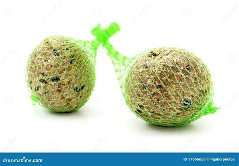 Bird seeds stock image. Image of nutrition, spherical - 17606659