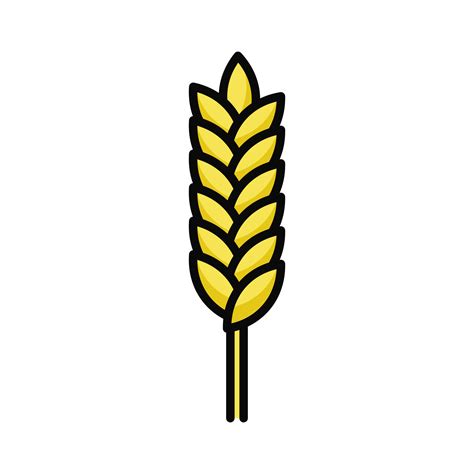 Wheat Icon. Wheat Logo. Vector Illustration. Isolated on White Background. Editable Stroke ...