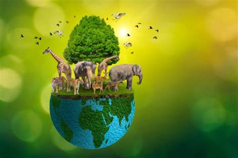 pengertian ilmu biologi  cabang cabang ilmu  dipelajari