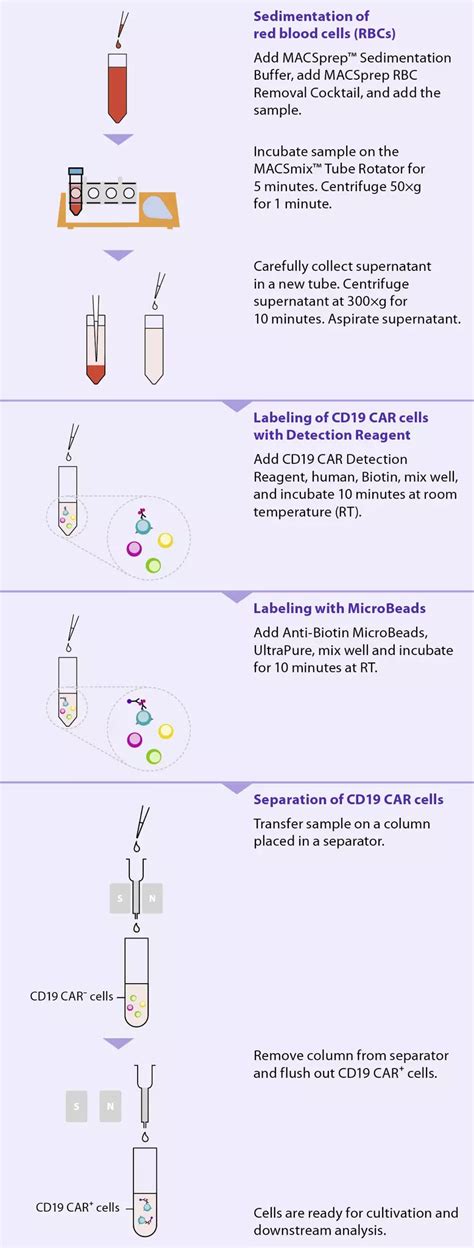 Macsprep Cd Car Microbead Kit Human Miltenyi Biotec Norge