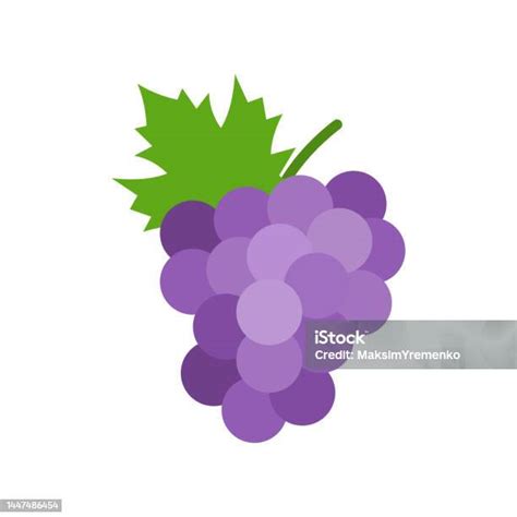 Ilustración De Icono De Uvas Racimo De Uvas Moradas Con Tallo Y Hoja Y Más Vectores Libres De