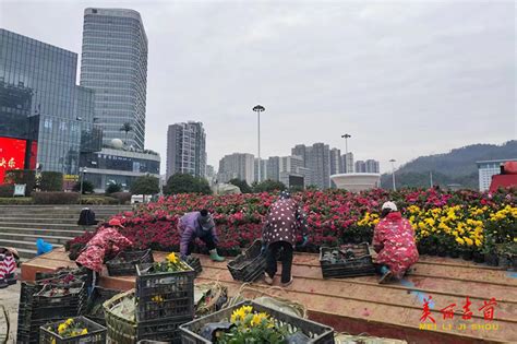 新春走基层｜10余万盆鲜花扮靓新吉首 市州聚焦 湖南频道 红网