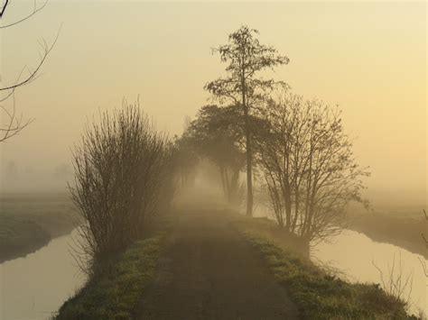 God Is In De Stilte Misty Morningsilence