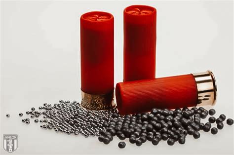 The Best Shotgun Shell Types for Home Defense & Hunting – The Burning ...