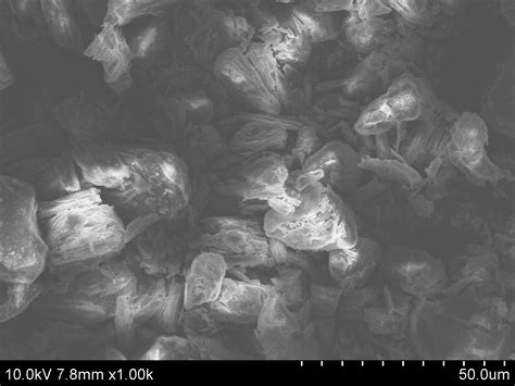 Graphite Fluoride Carbon Monofluoride Acs Material