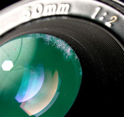 Cleaning Fungus In Camera Lenses