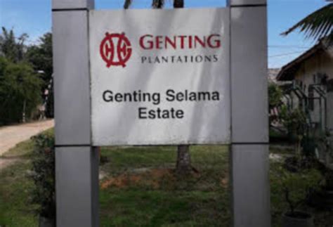 Harga Sawit Lonjak Pendapatan Genting Plantations KLSE Screener