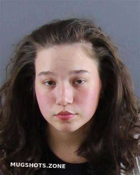 Tinkham Kayla A Peoria County Mugshots Zone