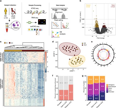 Chromatin Accessibility Signature Of Als Pbmcs A Schematic Workflow Of